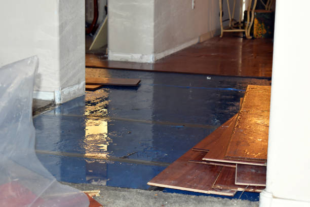 Professional Water Damage Repair technician working in Little Compton, RI